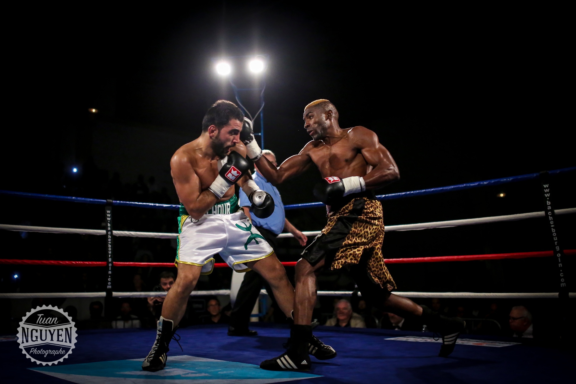 Gala de Boxe   33691